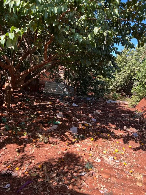 Foto 1 de Lote/Terreno à venda, 259m² em Portal do Alto, Ribeirão Preto