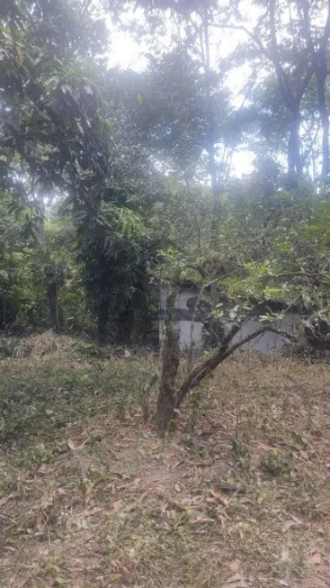 Foto 1 de Lote/Terreno à venda, 7963m² em Serra Grande, Niterói