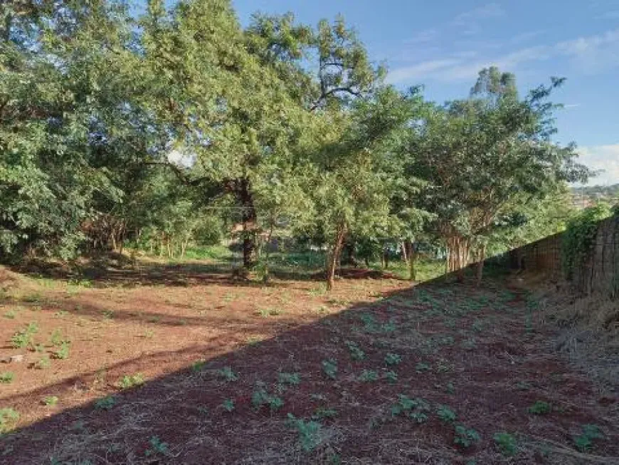 Foto 1 de Lote/Terreno para alugar, 3000m² em Ribeirânia, Ribeirão Preto