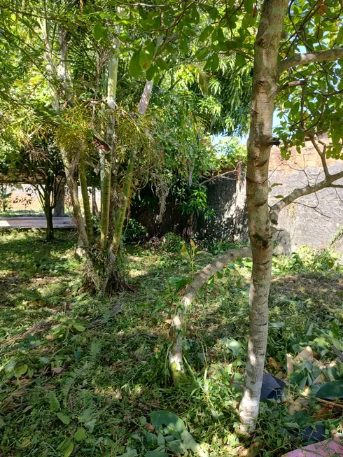 Foto 1 de Lote/Terreno à venda, 528m² em Tapanã, Belém