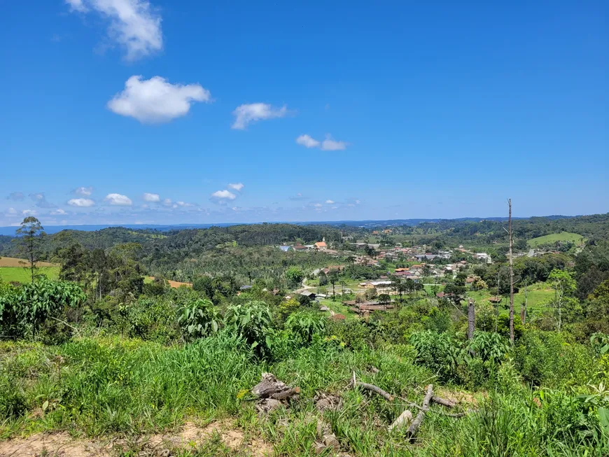 Foto 1 de Fazenda/Sítio à venda, 40000m² em Rio Vermelho Estação, São Bento do Sul