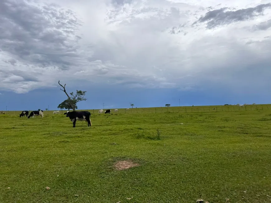 Foto 1 de Fazenda/Sítio com 3 Quartos à venda, 386m² em Centro, Rancharia