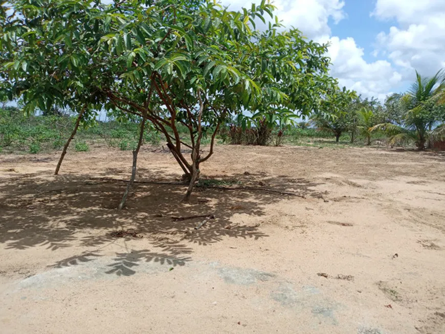 Foto 1 de Fazenda/Sítio com 3 Quartos à venda, 50m² em Centro, Vera Cruz