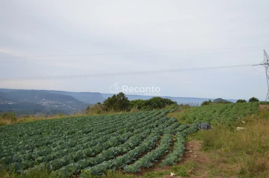 Foto 1 de Fazenda/Sítio à venda, 27418m² em Serra Grande Alema, Gramado