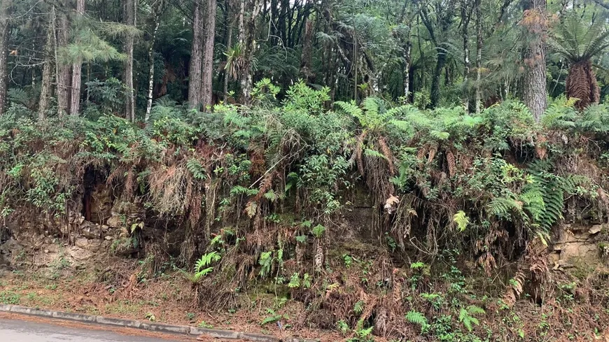 Foto 1 de Lote/Terreno à venda, 601m² em Alpes Verdes, Canela