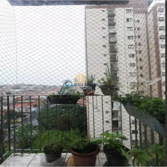 Foto 1 de Apartamento com 2 Quartos à venda, 54m² em Vila Campestre, São Paulo