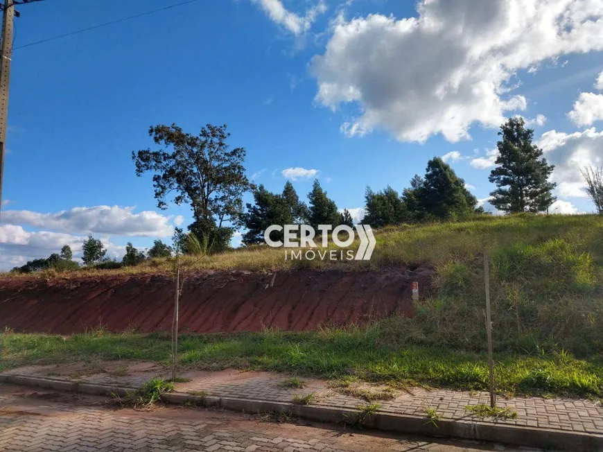 Foto 1 de Lote/Terreno à venda, 300m² em Sete de Setembro, Sapiranga