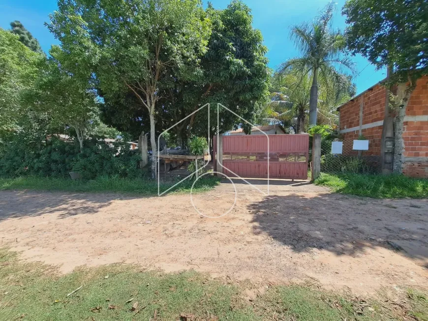 Foto 1 de Fazenda/Sítio com 3 Quartos à venda, 5000m² em Centro Padre Nobrega, Marília