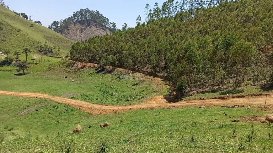 Foto 1 de Fazenda/Sítio à venda, 1000m² em Zona Rural, Paraibuna