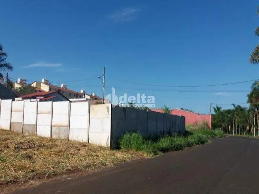 Foto 1 de Lote/Terreno à venda, 862m² em Chácaras Tubalina E Quartel, Uberlândia