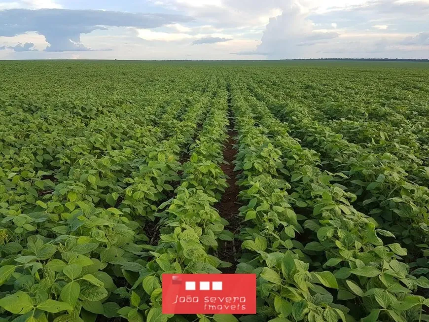 Foto 1 de Fazenda/Sítio à venda, 3677m² em , Água Boa