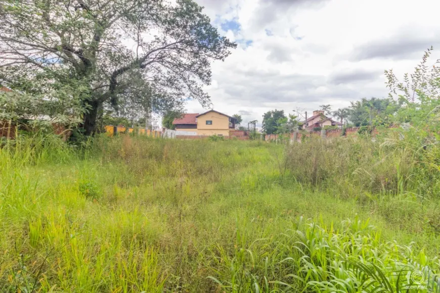 Foto 1 de Lote/Terreno à venda, 919m² em Rio dos Sinos, São Leopoldo