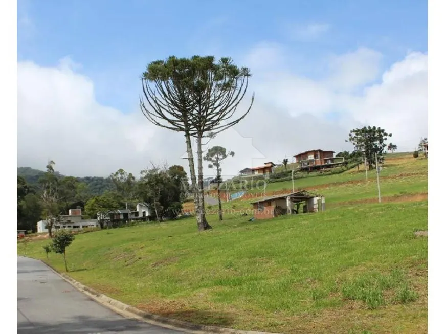 Foto 1 de Lote/Terreno à venda, 1000m² em , Santo Antônio do Pinhal