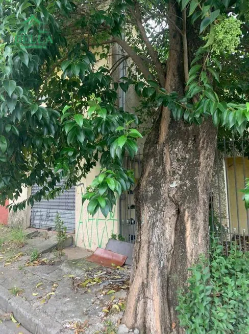 Foto 1 de Lote/Terreno à venda em Vila Santa Edwiges, São Paulo