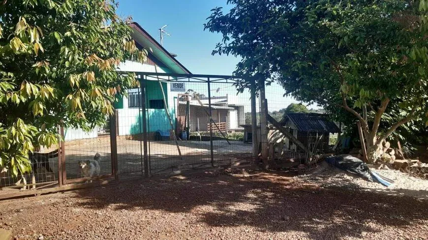 Foto 1 de Fazenda/Sítio com 3 Quartos à venda, 80m² em Santo Antonio, Mato Leitão