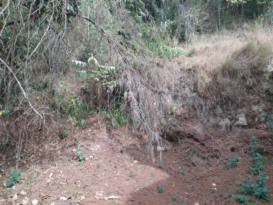 Foto 1 de Lote/Terreno à venda, 659m² em Colinas do Ermitage, Campinas