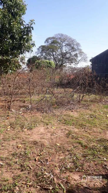 Foto 1 de Lote/Terreno à venda, 576m² em Jardim Iguacu, Paranavaí