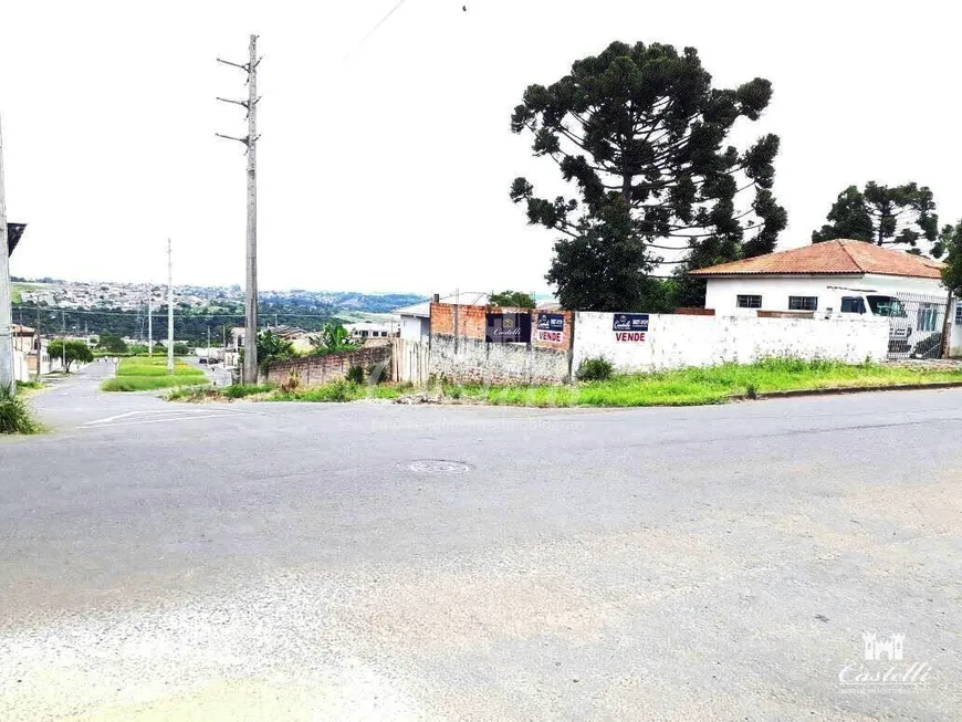 Foto 1 de Lote/Terreno à venda, 506m² em Uvaranas, Ponta Grossa