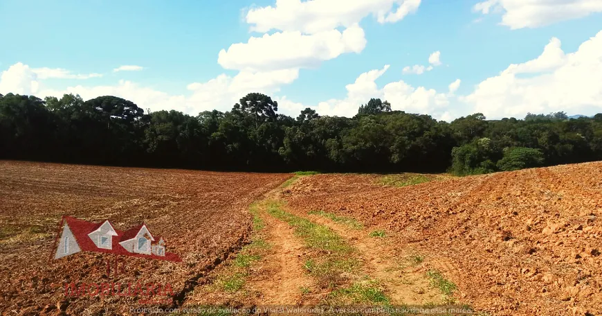 Foto 1 de Fazenda/Sítio com 1 Quarto à venda, 154000m² em Colonia Marcelino, São José dos Pinhais