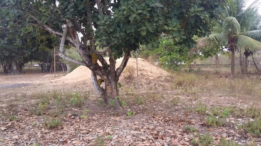 Foto 1 de Fazenda/Sítio com 3 Quartos à venda, 31500m² em Mangabeira, Macaíba