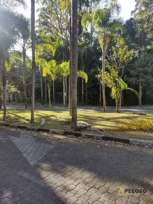Foto 1 de Lote/Terreno à venda, 454m² em Tucuruvi, São Paulo