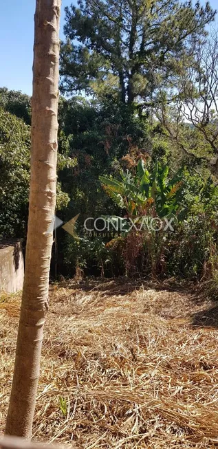 Foto 1 de Lote/Terreno à venda, 319m² em Jardim Sorirama, Campinas