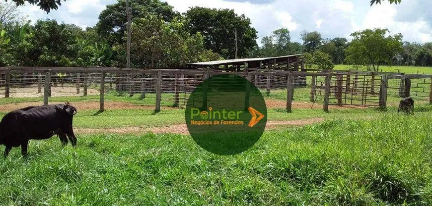 Foto 1 de Fazenda/Sítio com 2 Quartos à venda, 871200m² em Zona Rural, Guapó