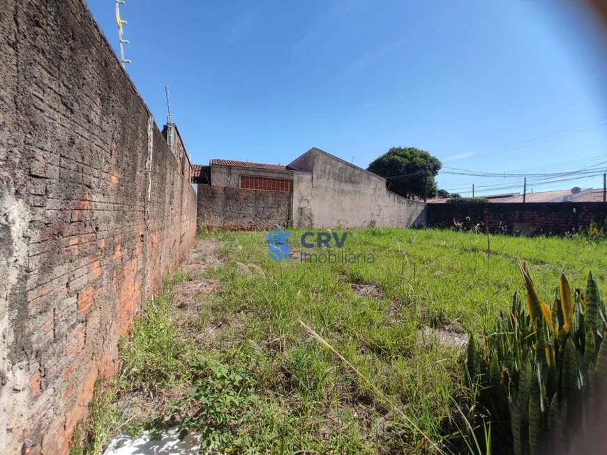 Foto 1 de Lote/Terreno para alugar, 496m² em Coliseu, Londrina