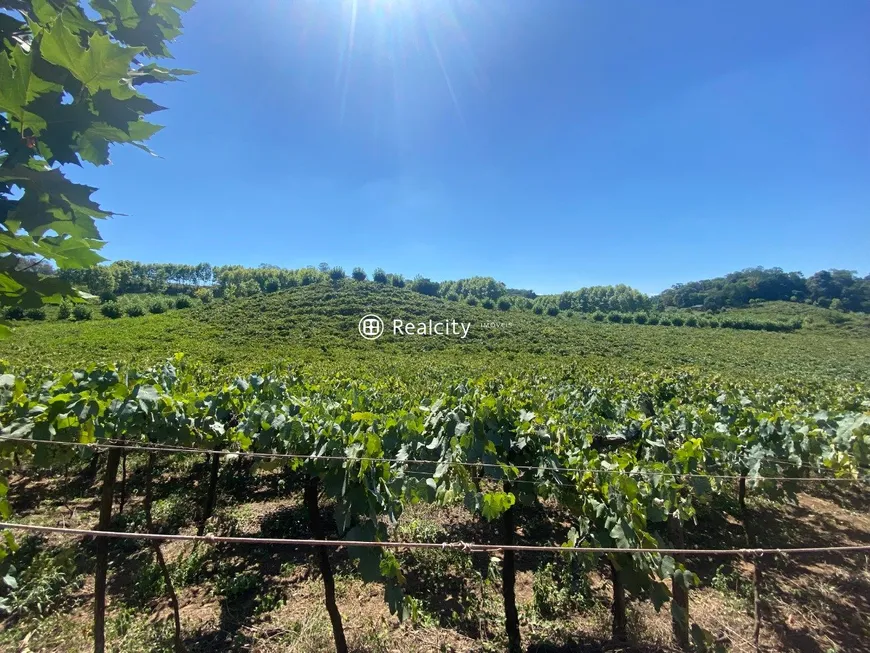 Foto 1 de Lote/Terreno à venda, 90000m² em Vale dos Vinhedos, Bento Gonçalves