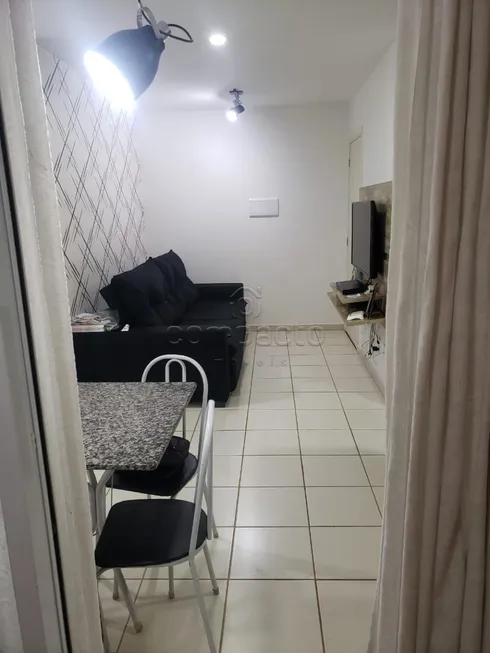 Foto 1 de Apartamento com 2 Quartos à venda, 50m² em Residencial Caetano, São José do Rio Preto