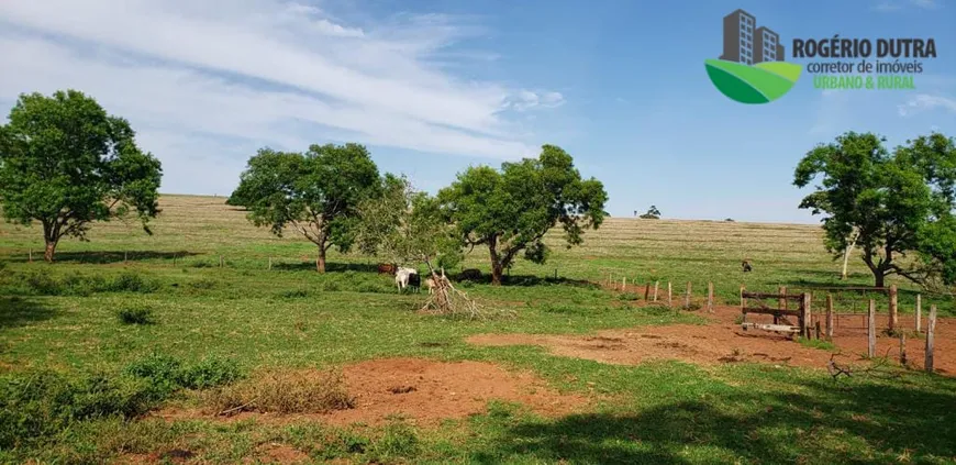 Foto 1 de Fazenda/Sítio com 3 Quartos à venda, 500m² em Porto XV de Novembro, Bataguassu