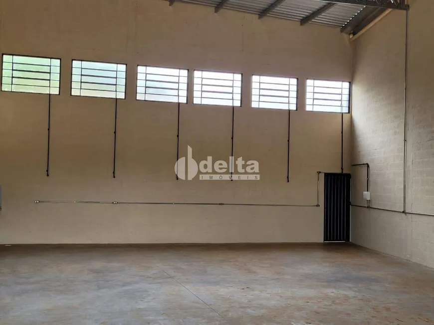 Foto 1 de Galpão/Depósito/Armazém à venda, 222m² em Dona Zulmira, Uberlândia