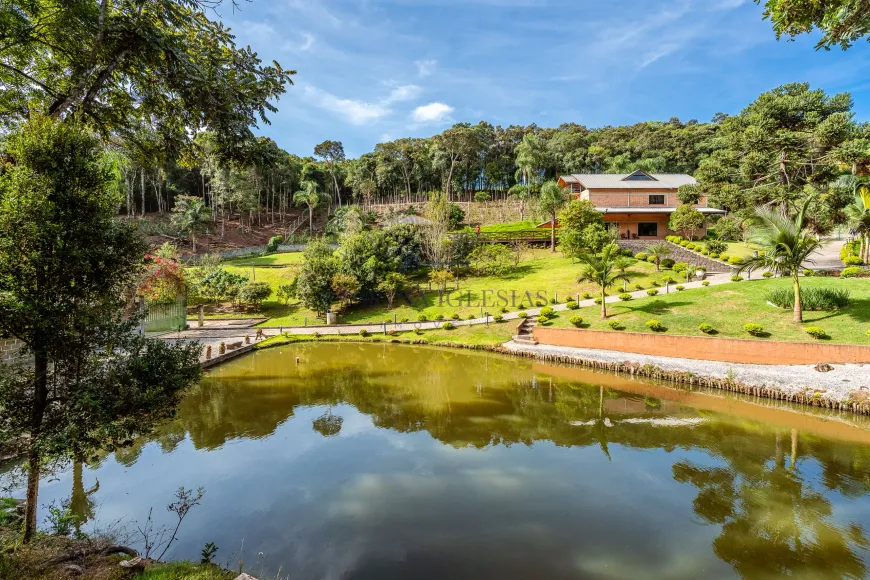 Foto 1 de Fazenda/Sítio com 4 Quartos à venda, 800m² em Campo Largo, Campo Largo