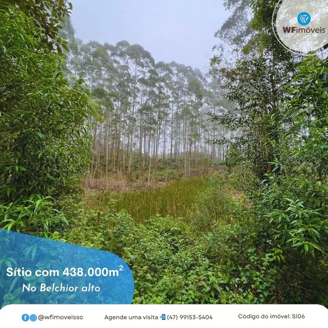 Foto 1 de Fazenda/Sítio com 3 Quartos à venda, 438000m² em Belchior Alto, Gaspar