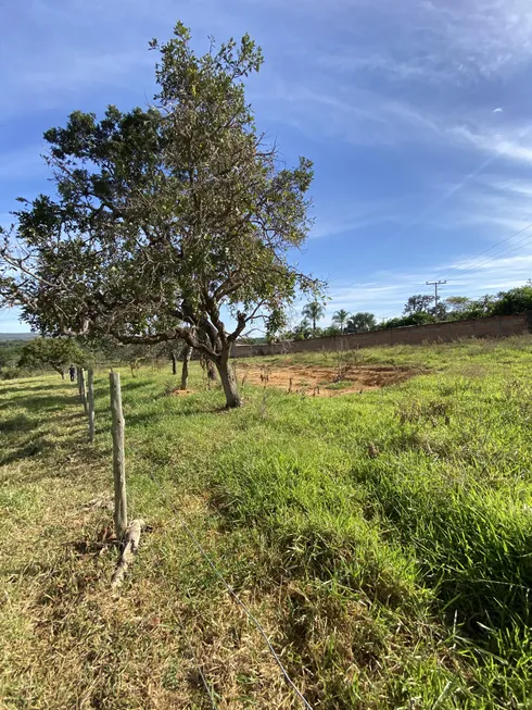 Foto 1 de Fazenda/Sítio à venda, 10115m² em Centro, Caldas Novas