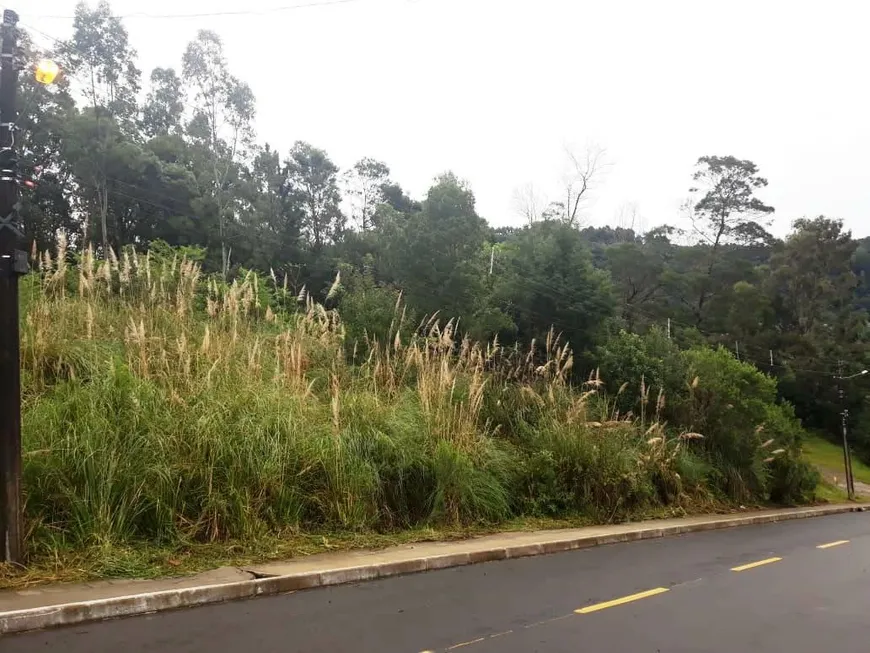 Foto 1 de Lote/Terreno à venda, 1678m² em Varzea Grande, Gramado