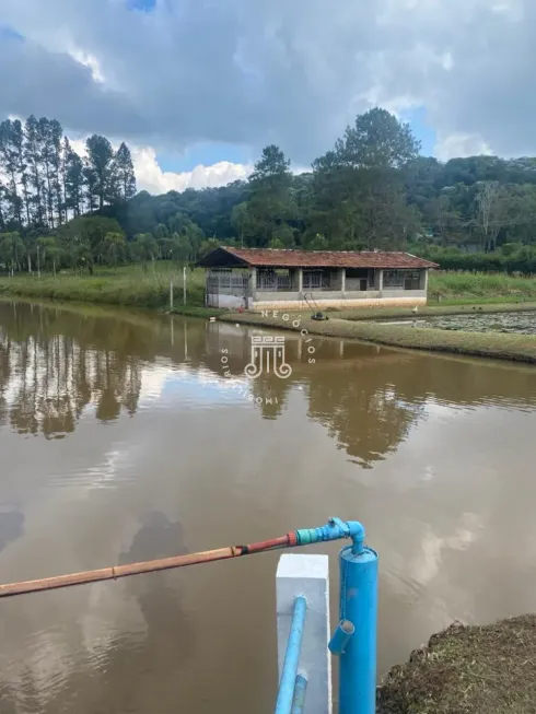 Foto 1 de Fazenda/Sítio com 3 Quartos à venda, 530m² em Chacaras de Recreio da Fazenda Estancia Sao Paulo, Jarinu