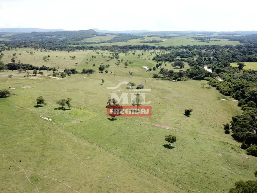 Foto 1 de Fazenda/Sítio com 4 Quartos à venda, 500m² em Setor Central, Heitoraí