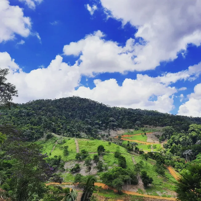 Foto 1 de Fazenda/Sítio à venda, 20000m² em , Marechal Floriano