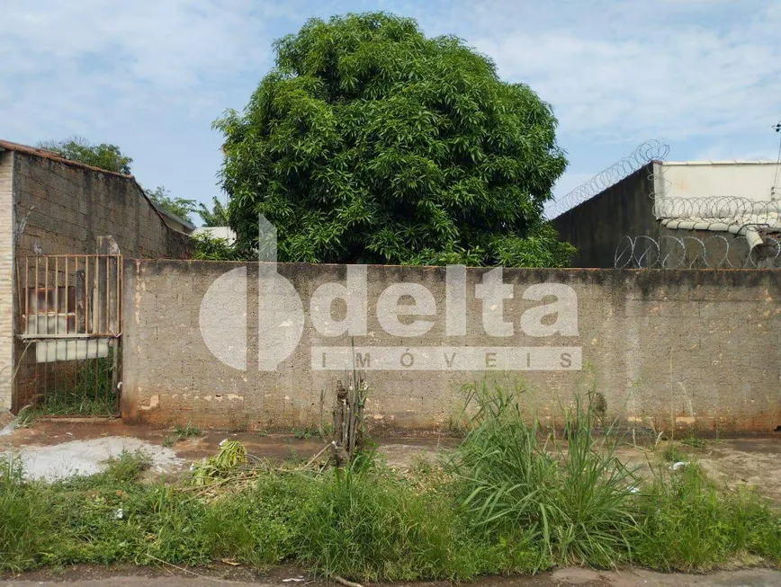 Foto 1 de Lote/Terreno à venda, 300m² em Jaraguá, Uberlândia