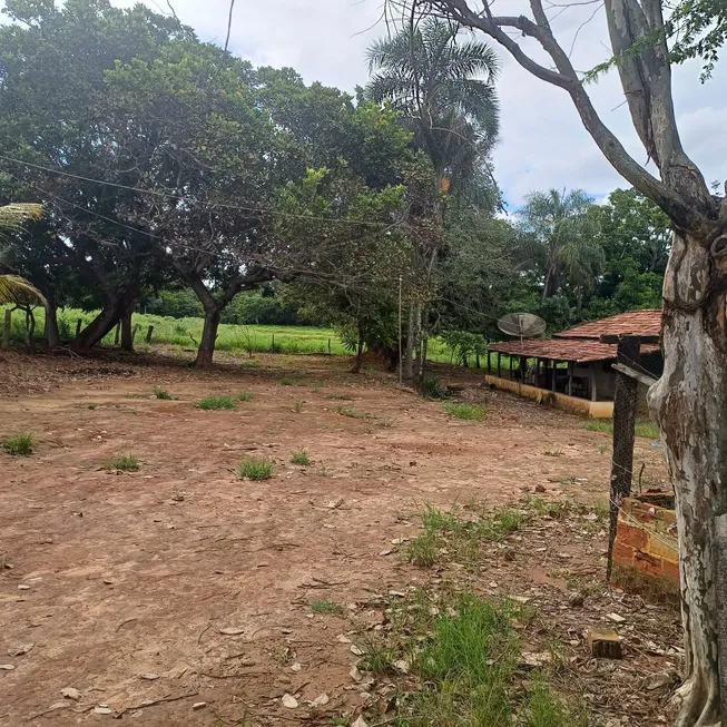 Foto 1 de Fazenda/Sítio com 5 Quartos à venda, 7m² em , Uruana