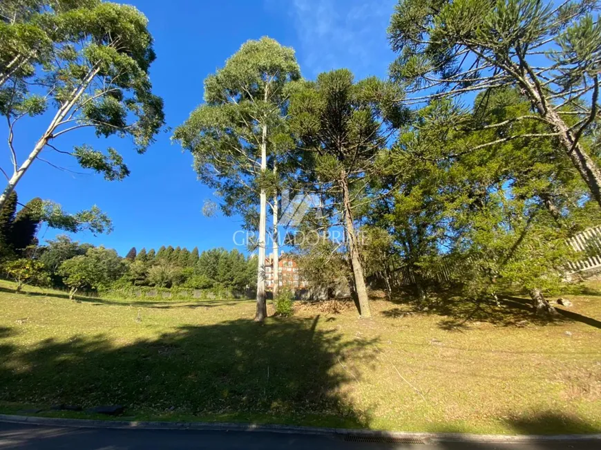 Foto 1 de Lote/Terreno à venda, 2359m² em Mato Queimado, Gramado