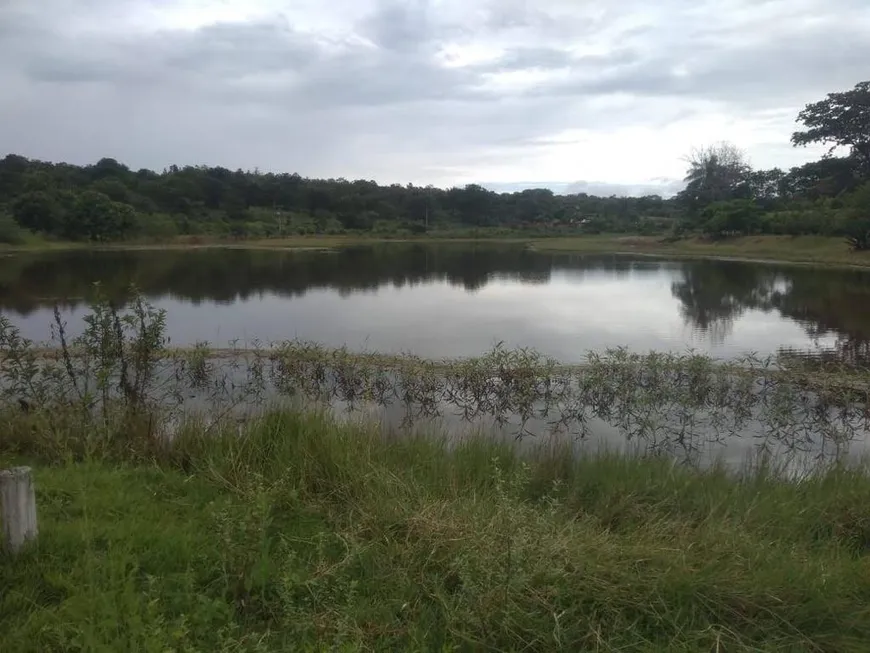 Foto 1 de Lote/Terreno à venda, 5000m² em Centro, Jequitibá