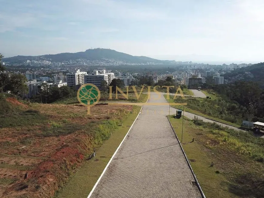 Foto 1 de Lote/Terreno à venda, 534m² em Itacorubi, Florianópolis