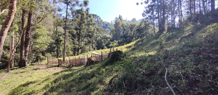 Foto 1 de Lote/Terreno à venda, 96000m² em Zona Rural, Marmelópolis