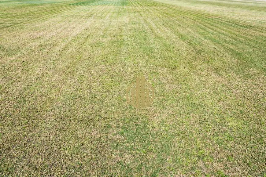 Foto 1 de Lote/Terreno à venda, 280m² em Residencial Flórida, Ribeirão Preto