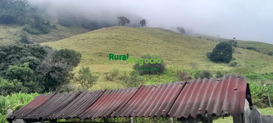 Foto 1 de Fazenda/Sítio à venda, 580000m² em Centro, Delfim Moreira