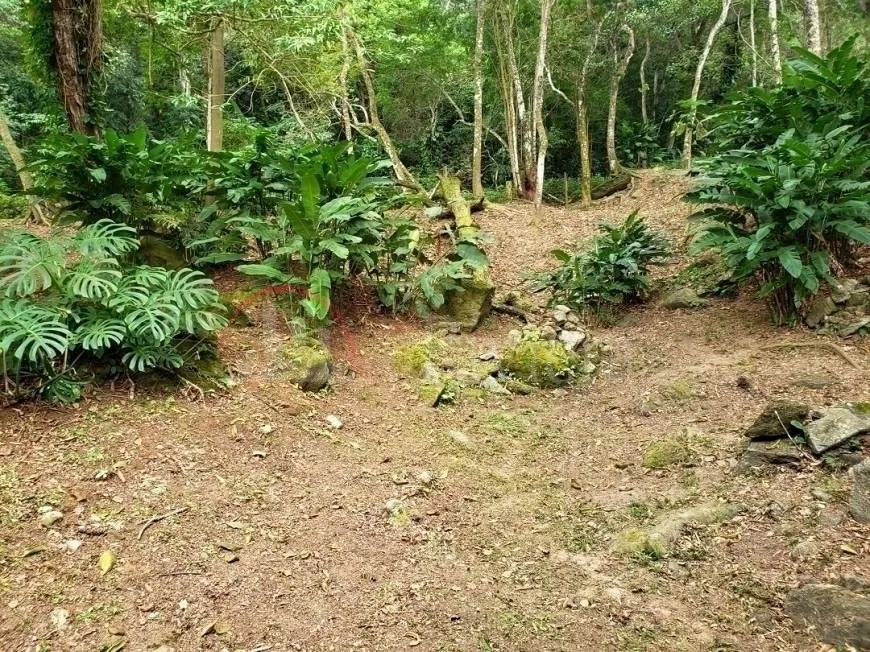 Foto 1 de Lote/Terreno à venda, 650m² em Praia do Toque - Toque Grande, São Sebastião