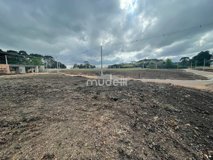 Foto 1 de Lote/Terreno à venda, 404m² em Aviação, São José dos Pinhais