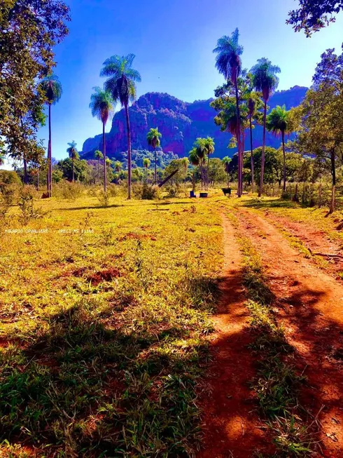 Foto 1 de Lote/Terreno à venda, 748m² em Camisao, Aquidauana